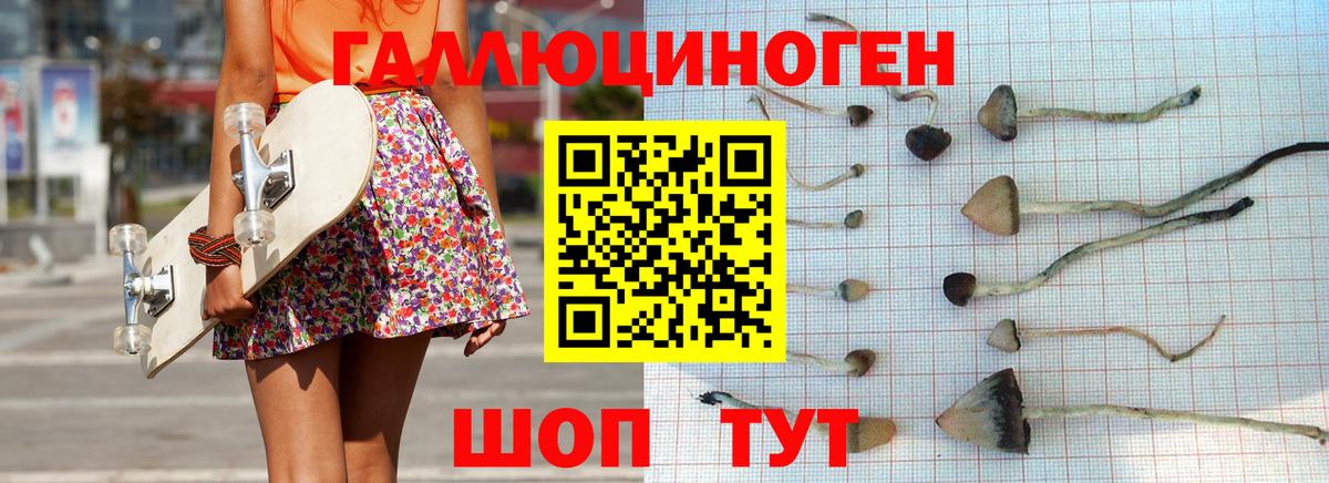 Галлюциногенные грибы прущие грибы Сибай