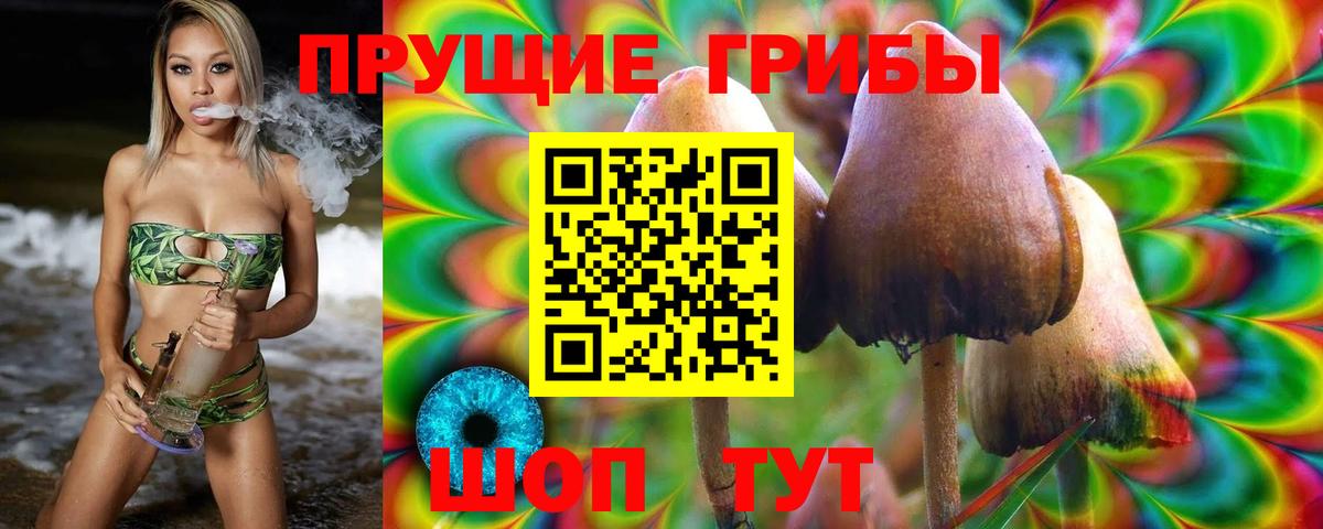 Сибай  Псилоцибиновые грибы Psilocybine cubensis  Псилоцибиновые грибы Magic Shrooms  где найти   Вход с VPN 